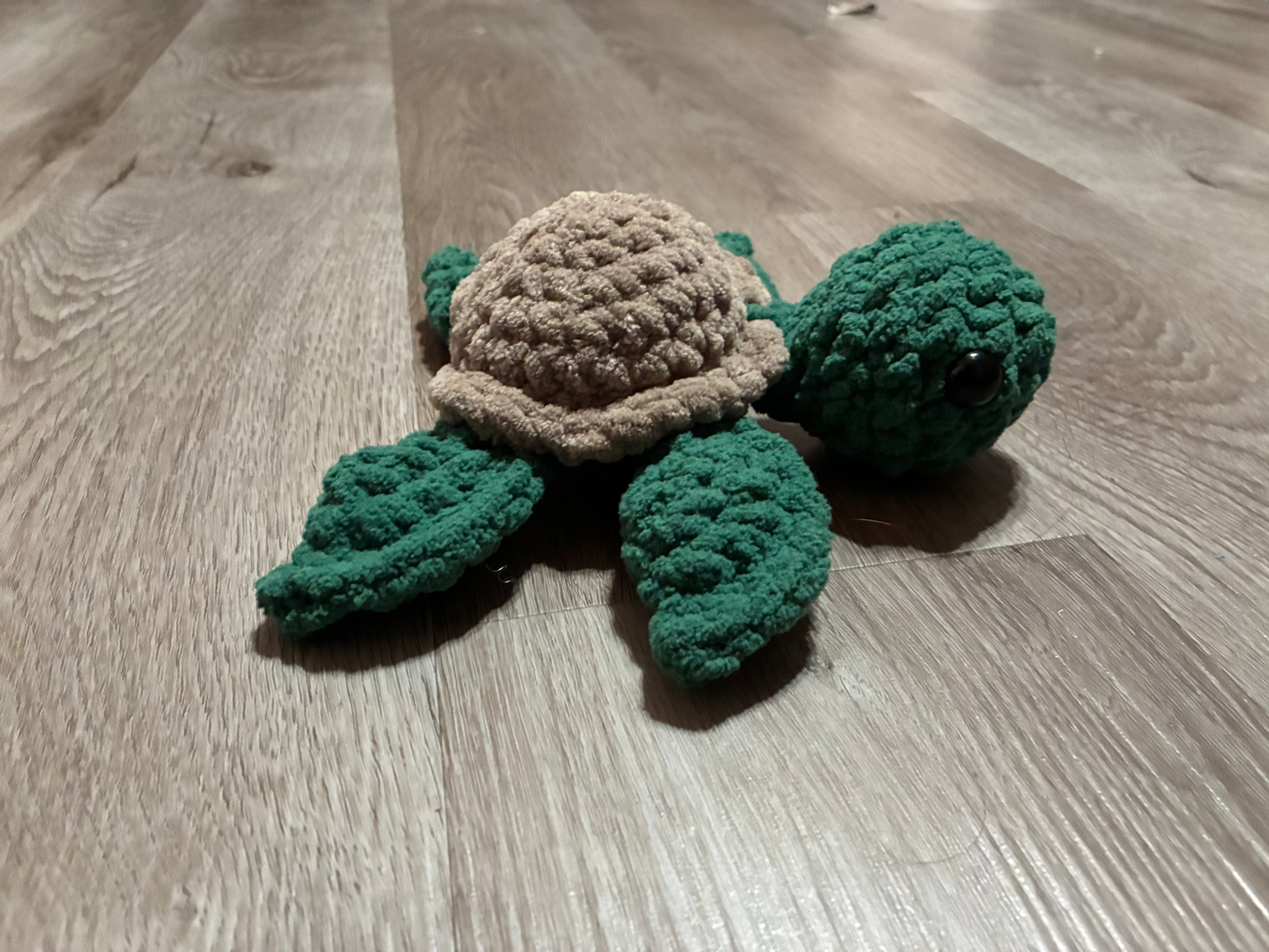 Green Sea Turtle