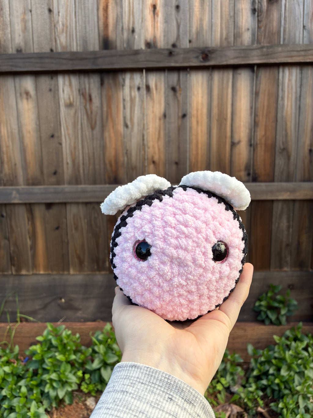 Light Pink and Black Bee