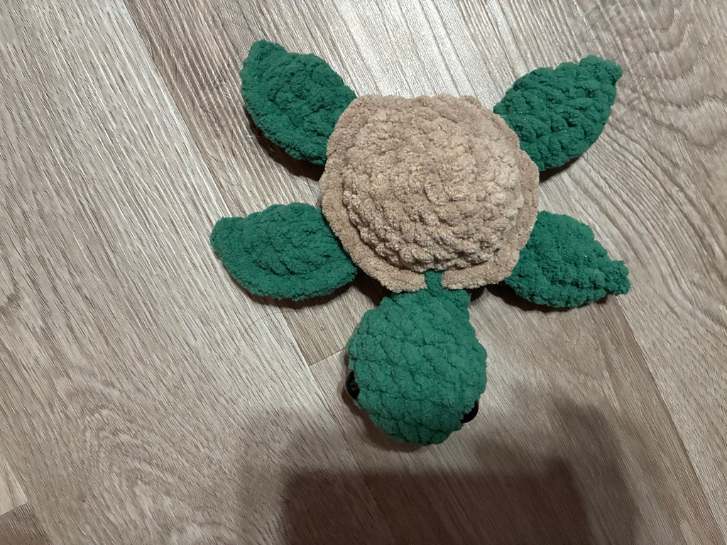Green Sea Turtle