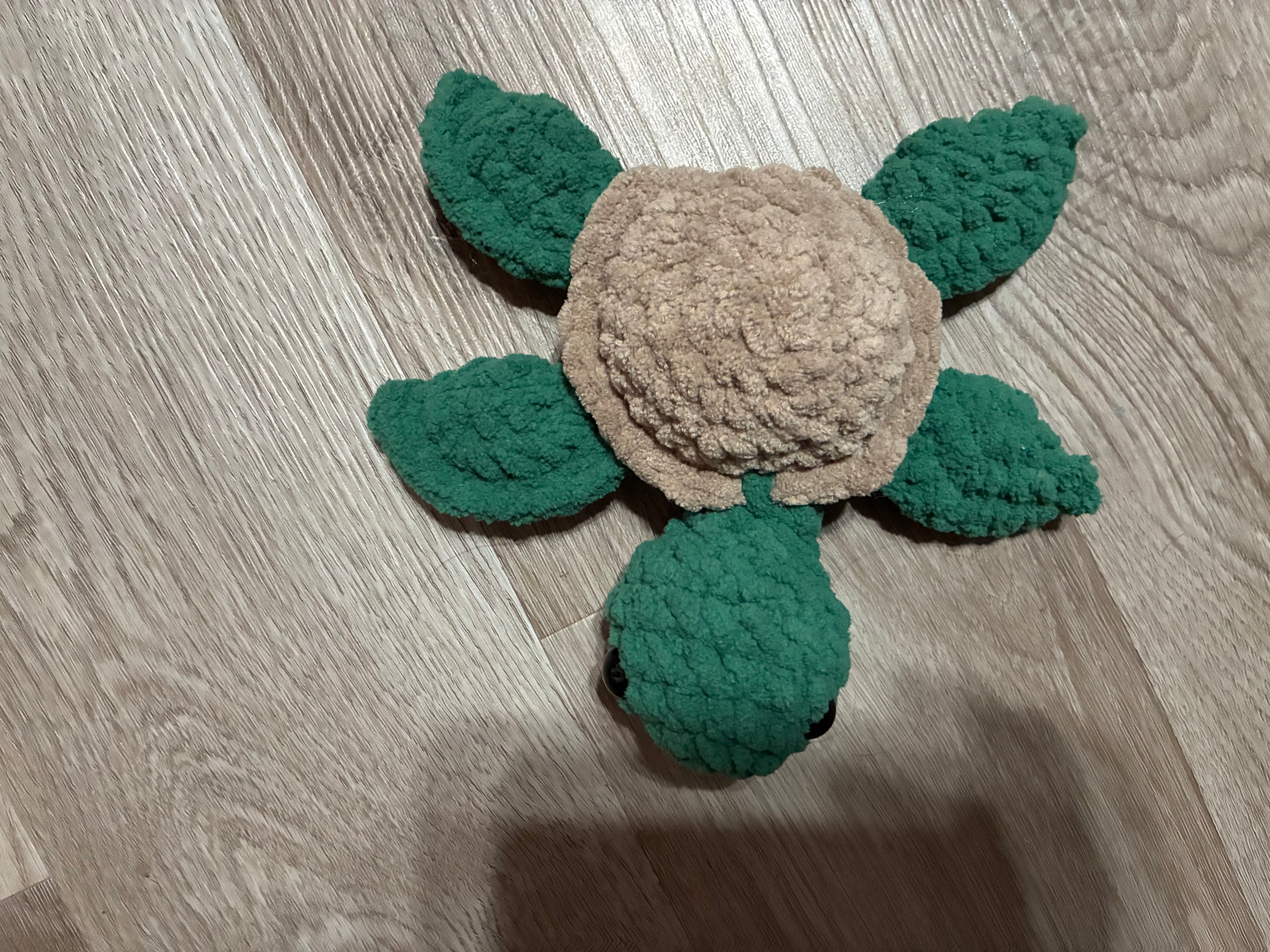 Green Sea Turtle