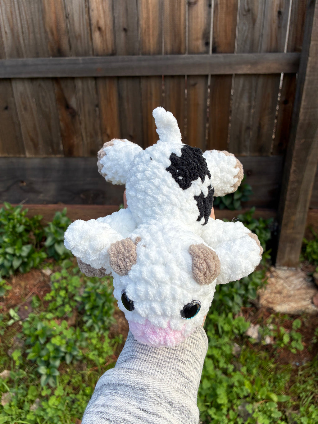 Cow