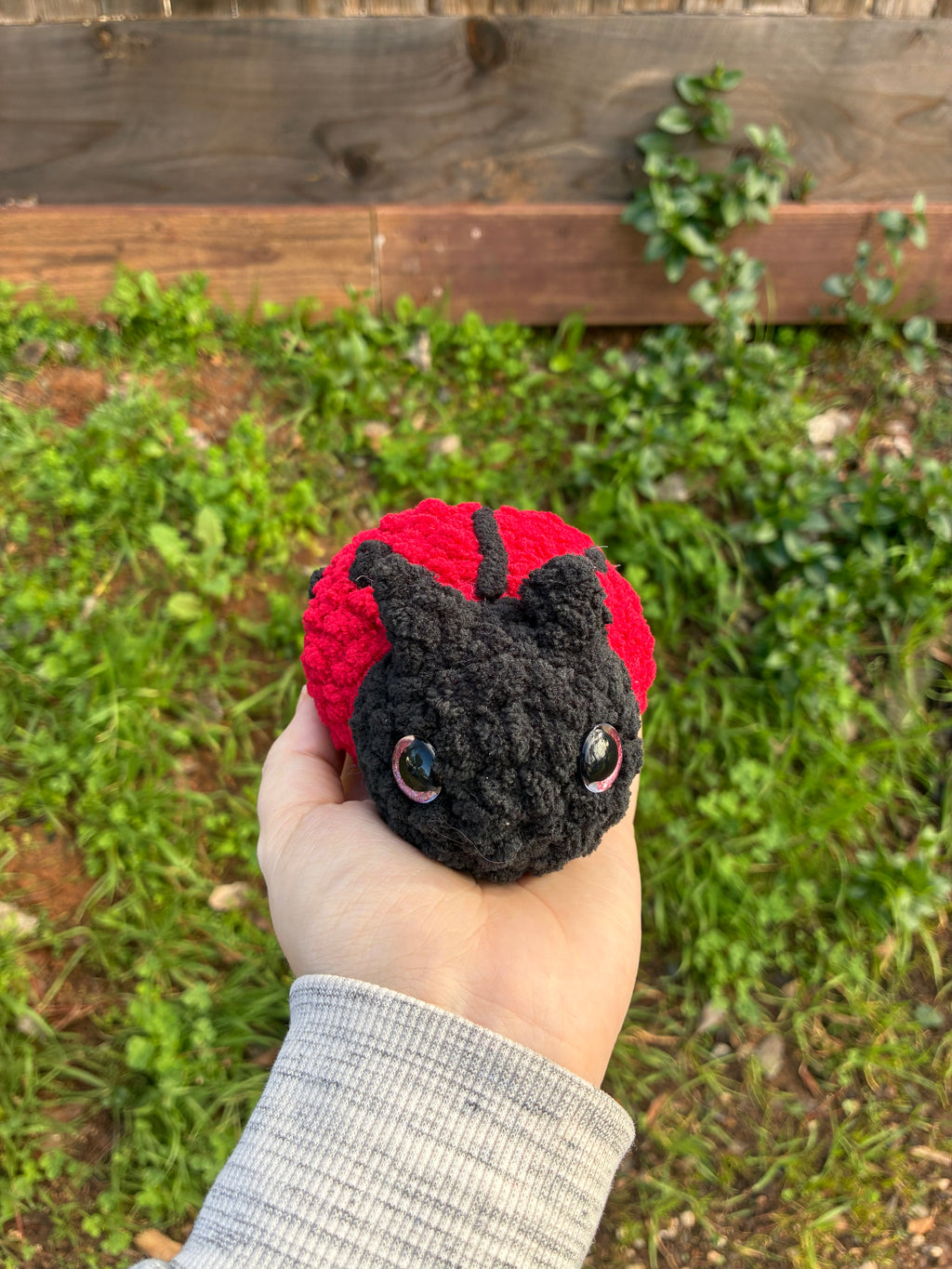 Red Ladybug
