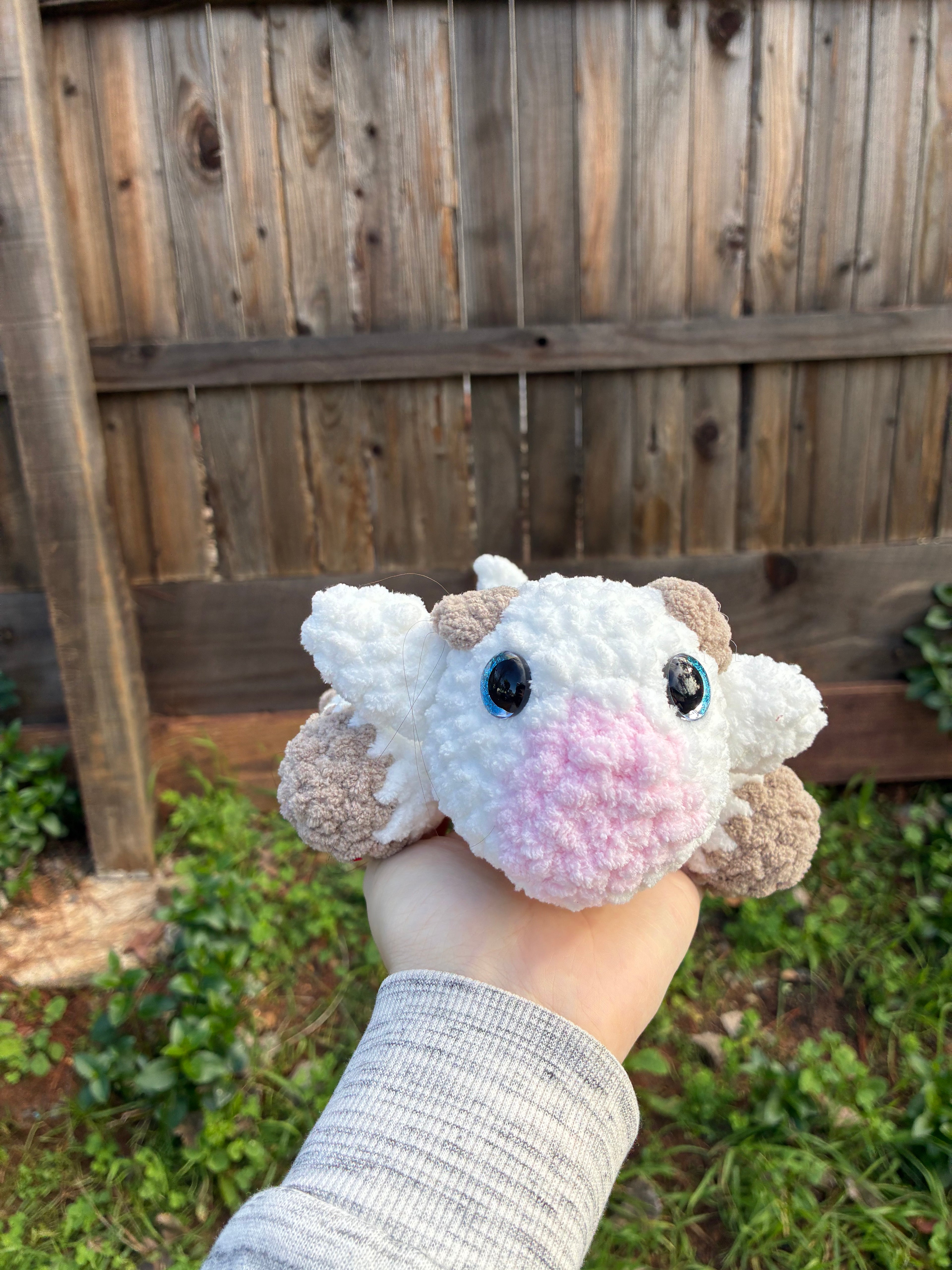 Cow
