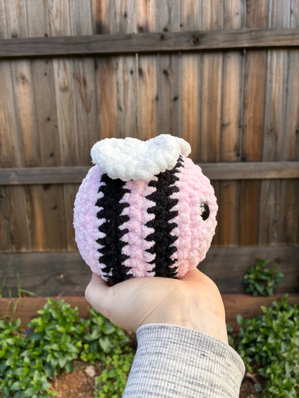 Light Pink and Black Bee