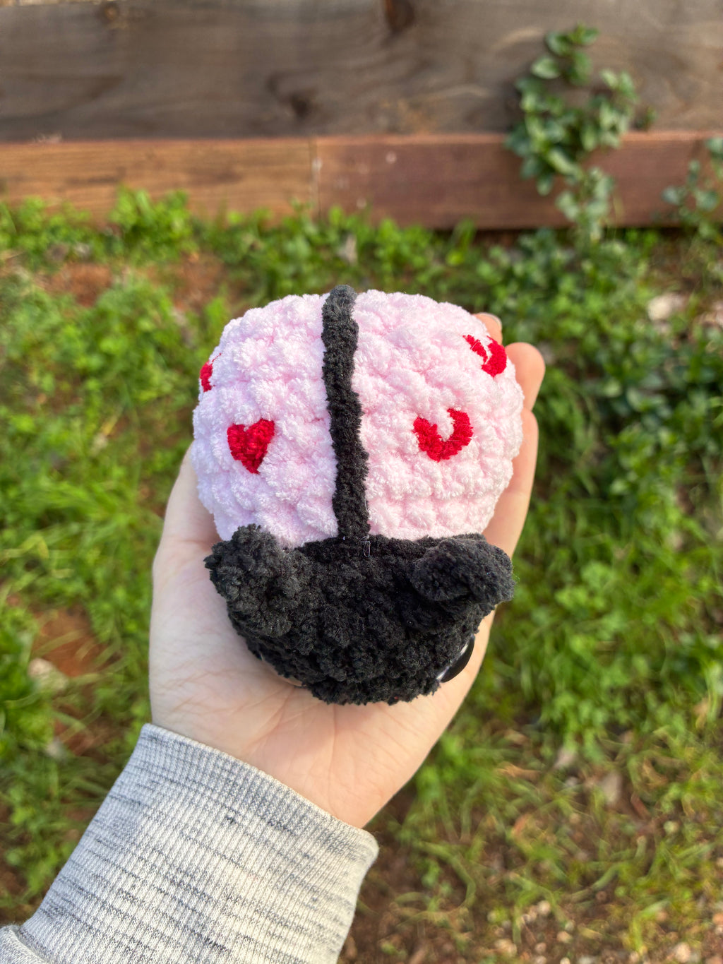Pink Ladybug