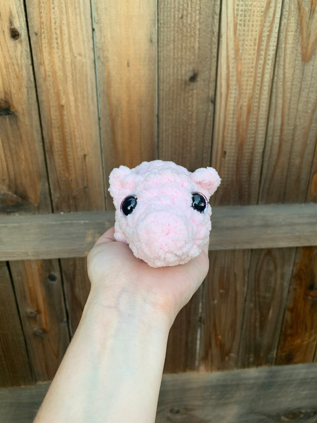 Pig