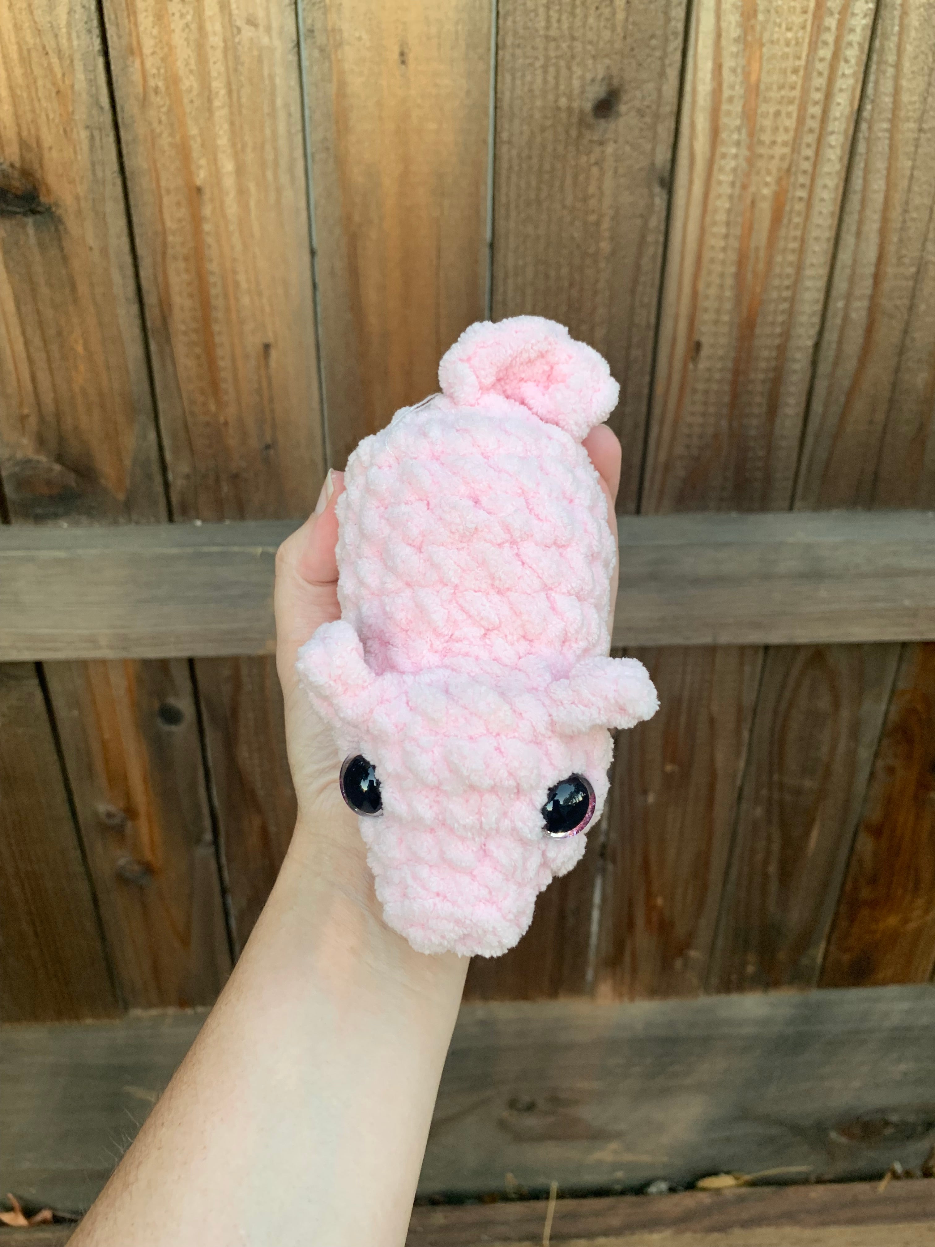 Pig