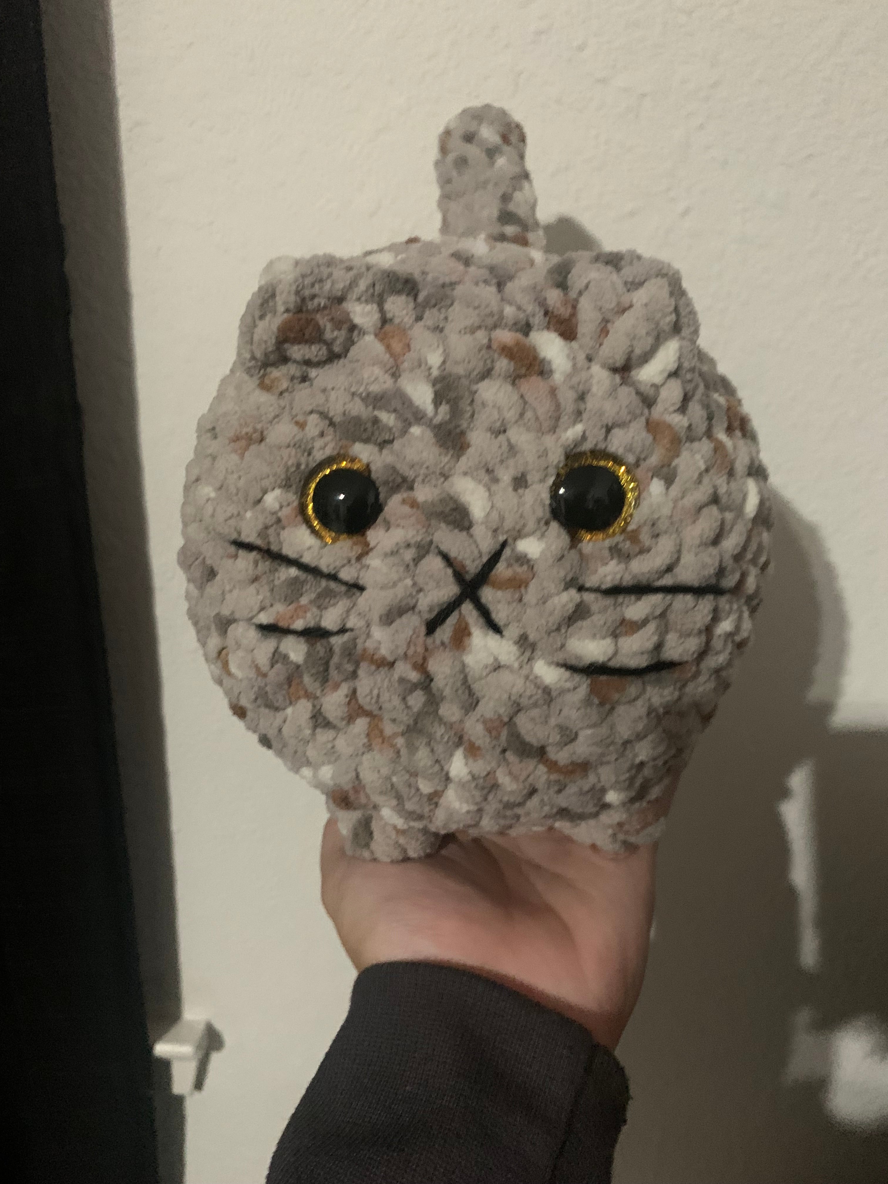 Grey/Brown Loaf Cat with Gold Eyes