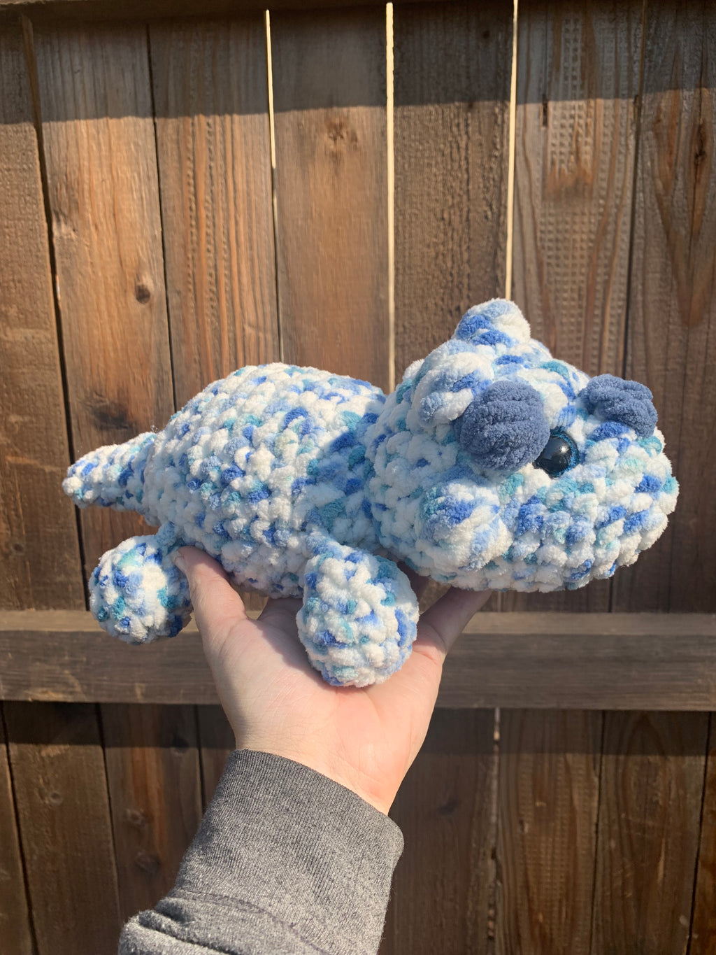 Blue/White Triceratops