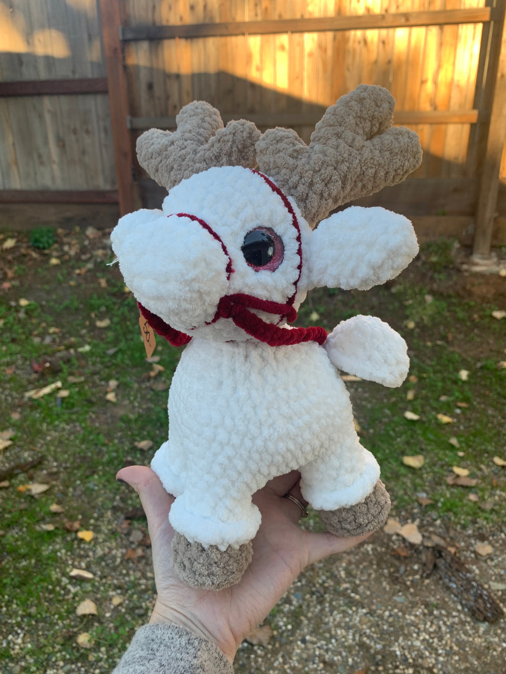 White Reindeer