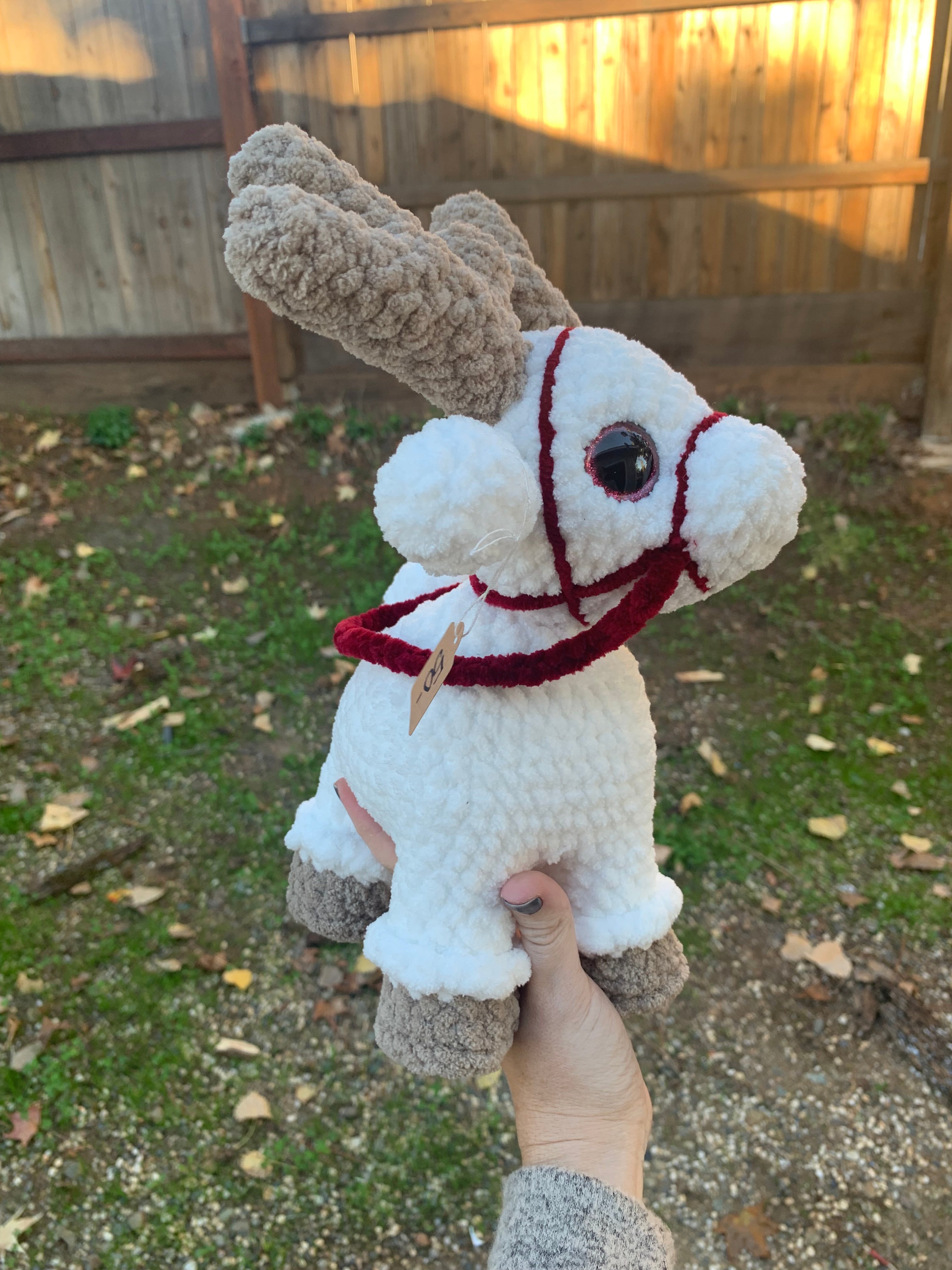 White Reindeer