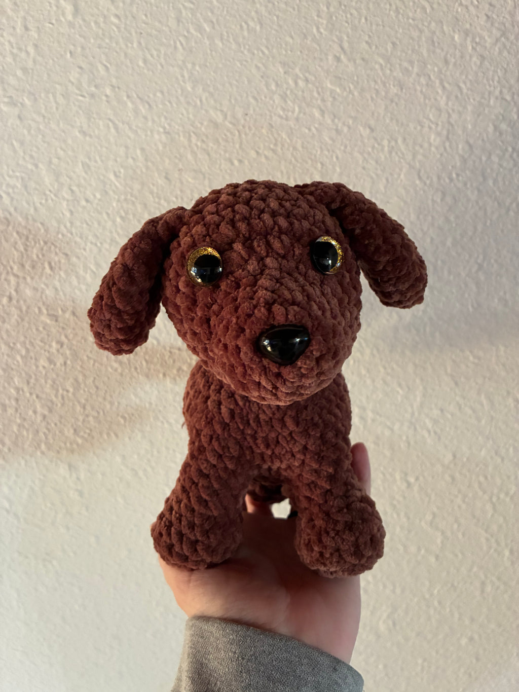 Brown puppy