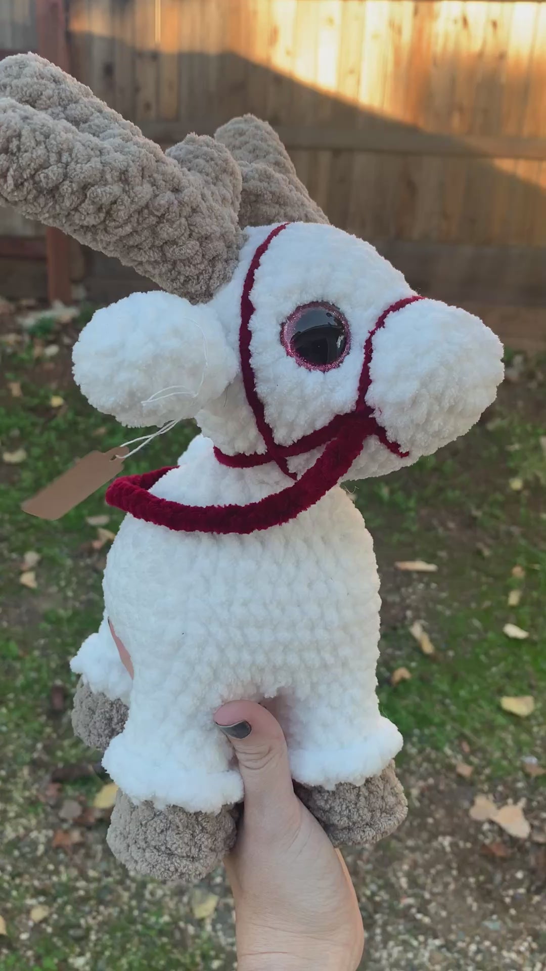 White Reindeer